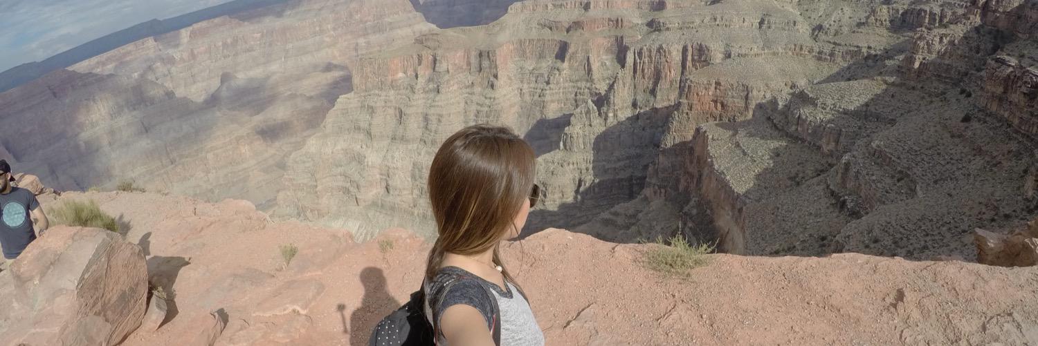 sofiacastroc's profile banner image