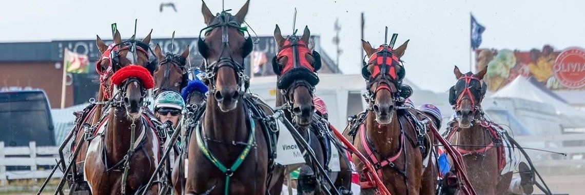 Bookiebaz's profile banner image