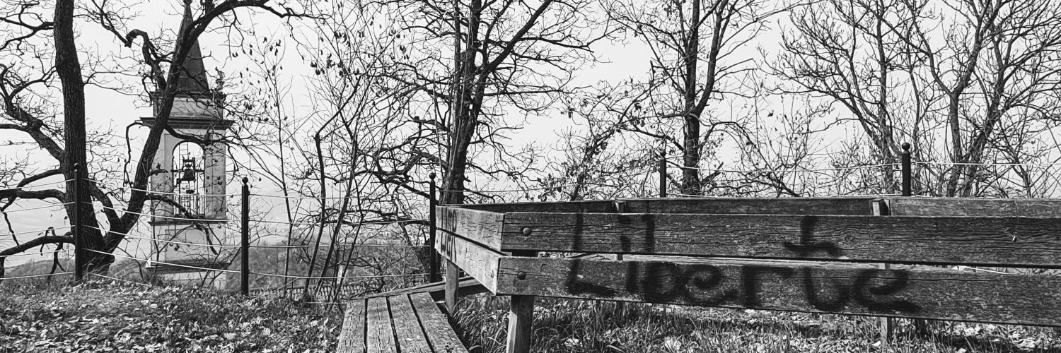 𝔸𝕟𝕕𝕣𝕖𝕒 𝔾𝕒𝕞𝕓𝕒𝕣𝕕𝕖𝕝𝕝𝕒 banner