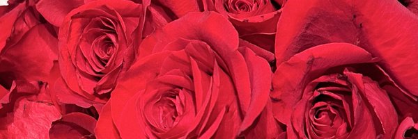 doseofindy Profile Banner