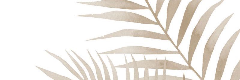 katieanncoyle's profile banner image