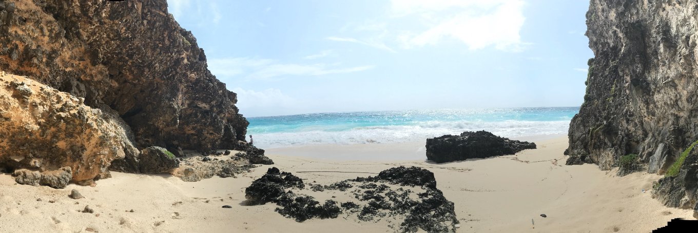 john mitchell banner