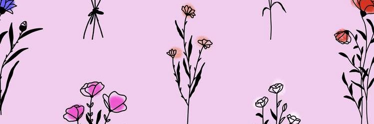 AlexFoxhoven's profile banner image