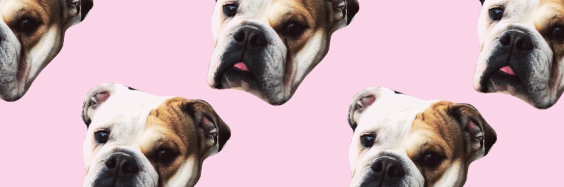 Lexi banner