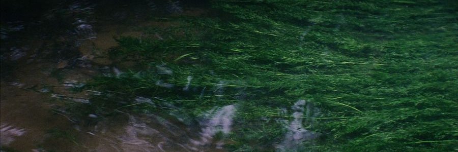 om__river's profile banner image