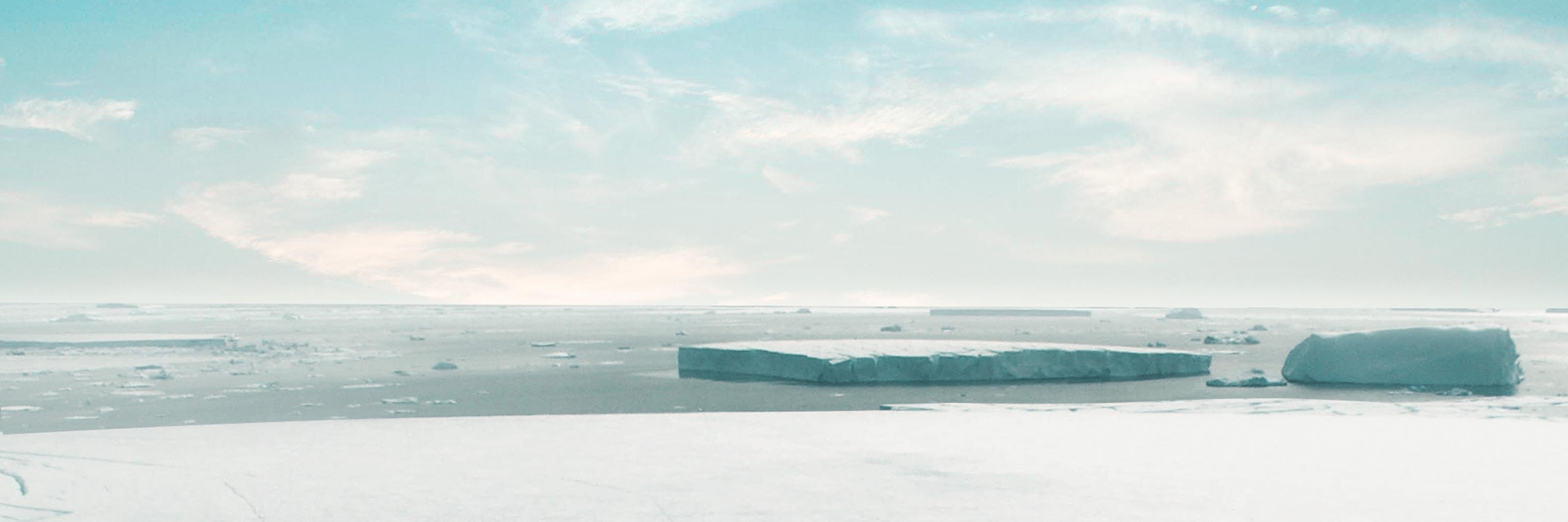 Deacon Webster banner