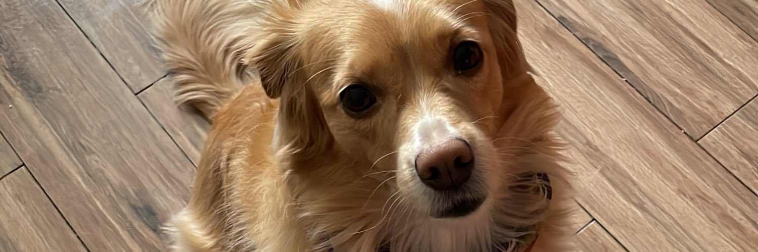 María Paz Nuñez banner