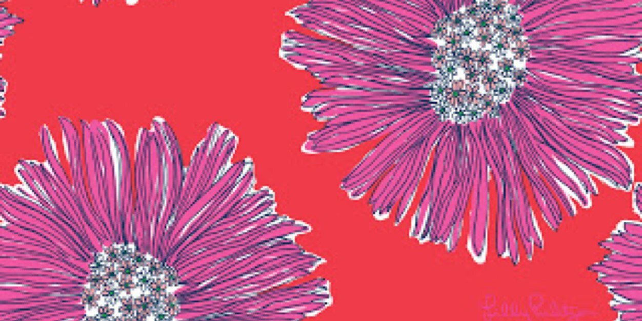 CristyDR's profile banner image