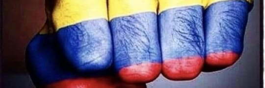 marge_sc's profile banner image