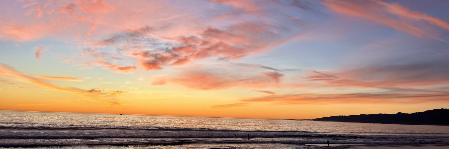 Courtney Klein banner