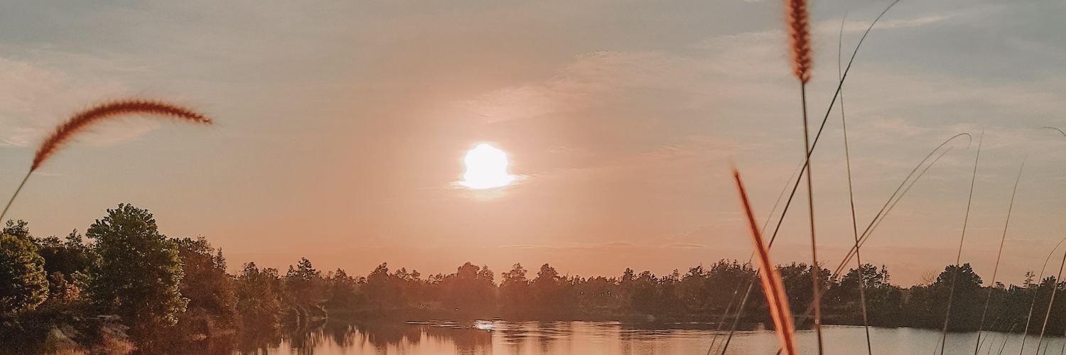 my_whella's profile banner image