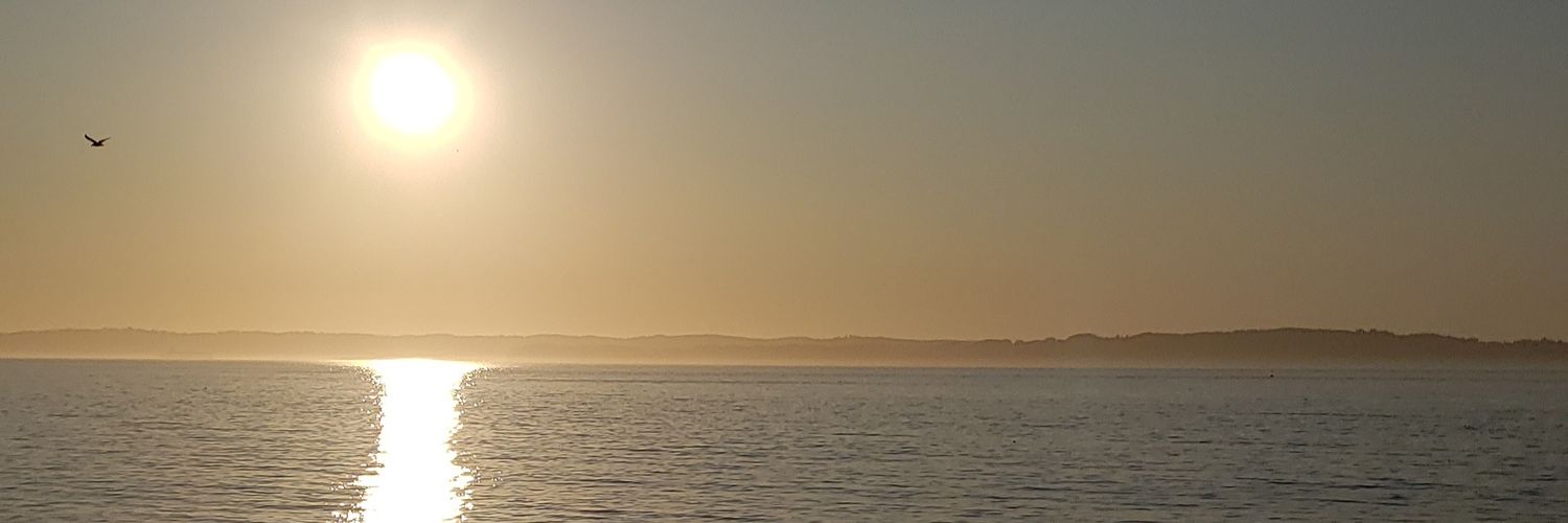 MrsReich3l's profile banner image