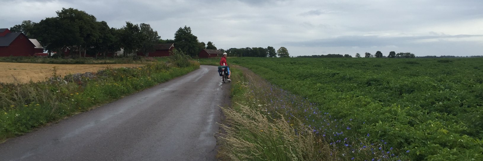 Jacob Persson banner