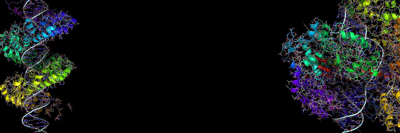 scottbecker's profile banner image