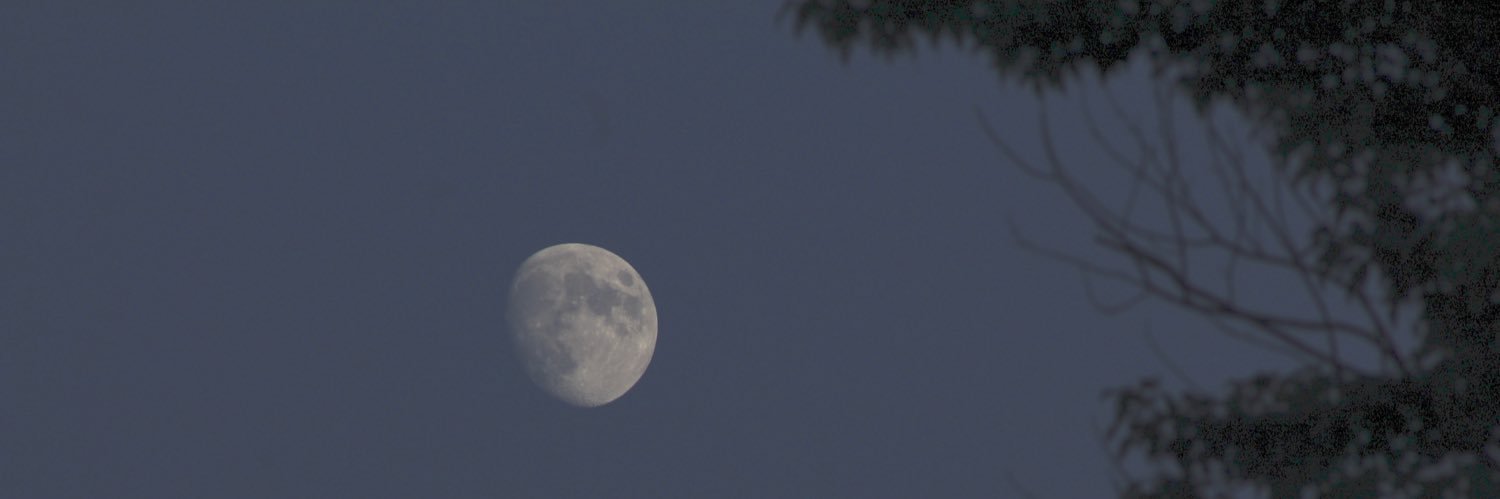 pumpkin1221's profile banner image