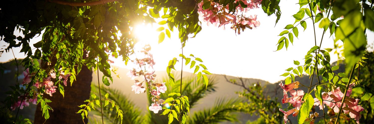 schneyra's profile banner image