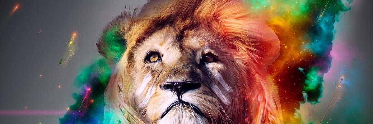 gbardakis's profile banner image