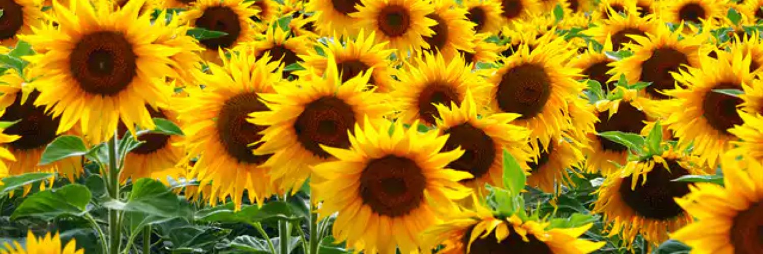 𝚖𝚊𝚌 𝚓𝚘𝚛𝚍𝚊𝚗 .. its_ramtops@threads banner