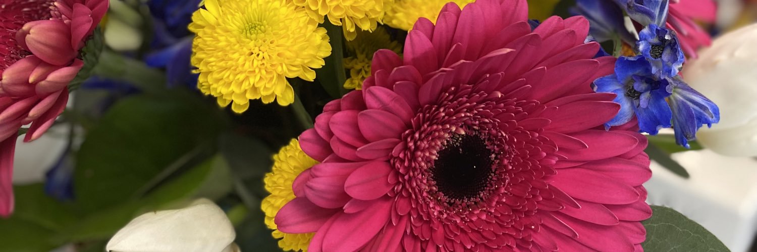 VictoriaTShea's profile banner image