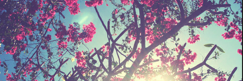 iSabrina_'s profile banner image
