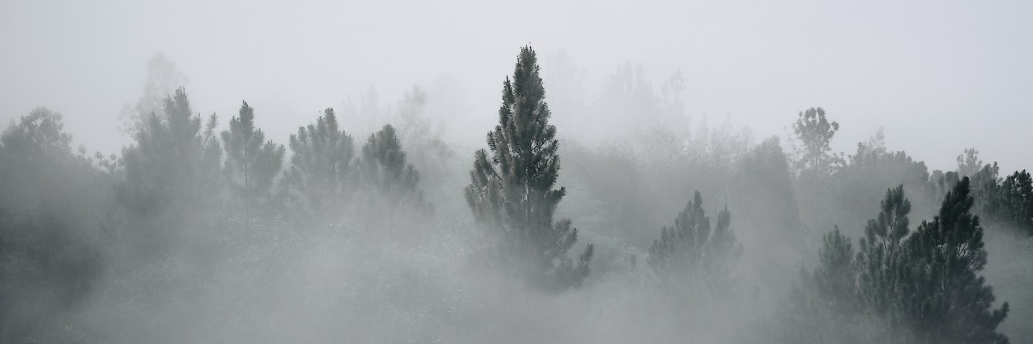 squinn's profile banner image