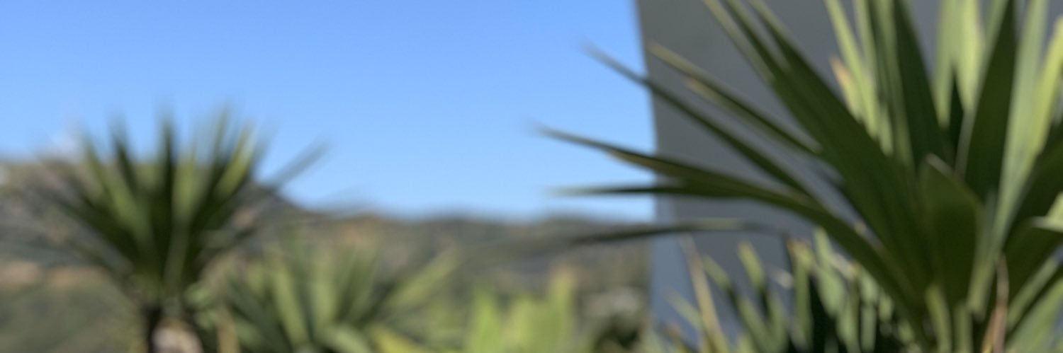thechancecausey's profile banner image