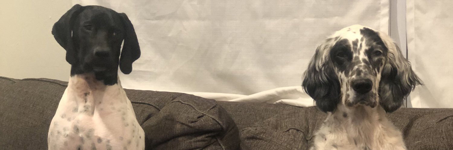 DrewDarwitz's profile banner image