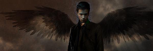 SeddieMania's profile banner image