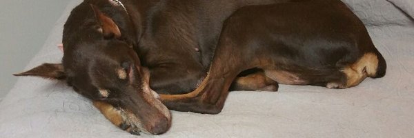 JoesDot_Com Profile Banner