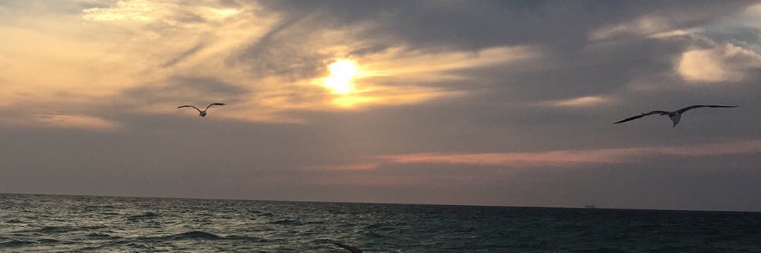 megcameronn's profile banner image