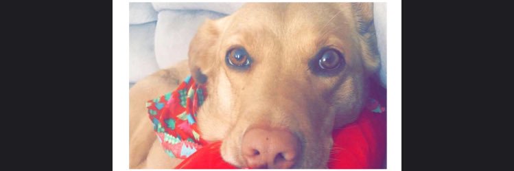 Kaylie_Eisel's profile banner image