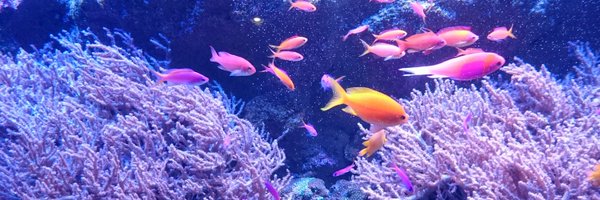 21ryoji Profile Banner