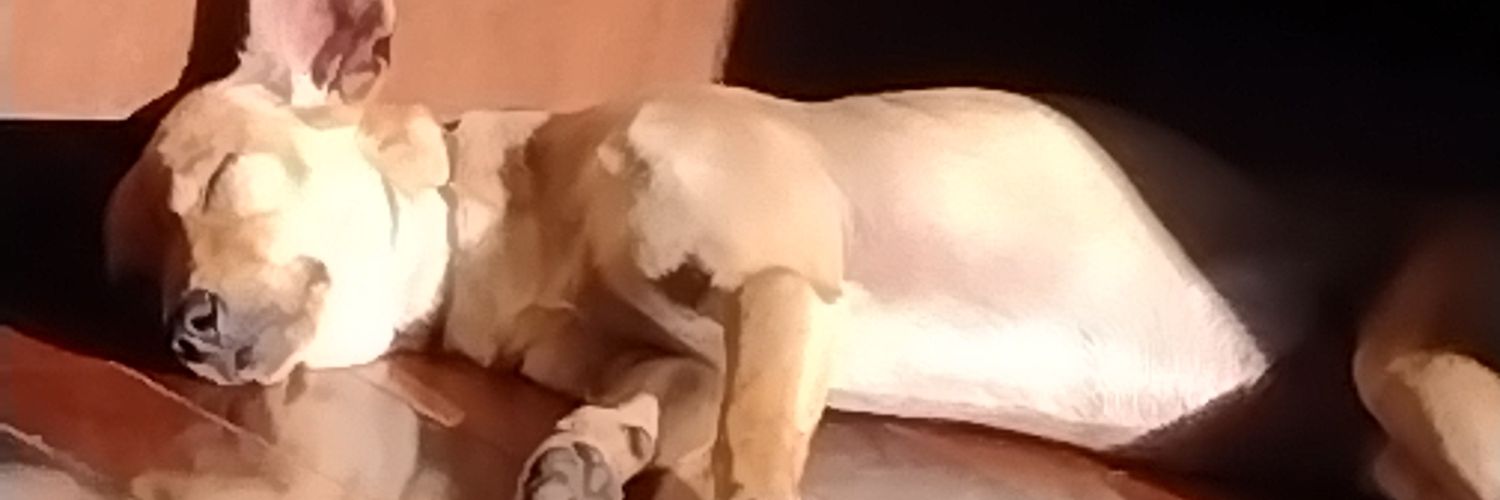 felipeplisto's profile banner image