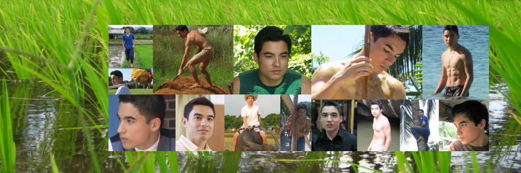coconuter's profile banner image