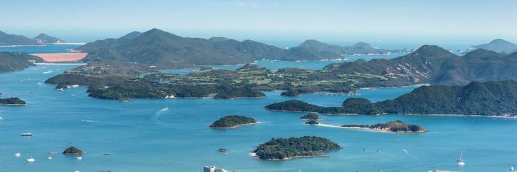 Walter Jennings banner