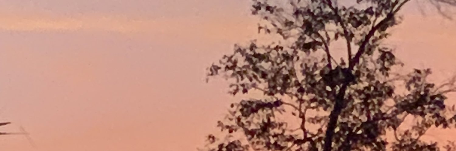 papodemae's profile banner image