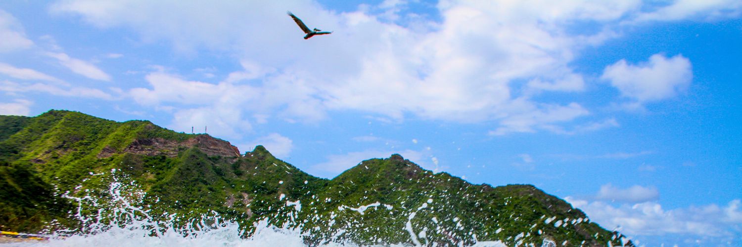 Pepo Perú (E)👴🏾🌿🚀 AKA Carlos Salgado banner