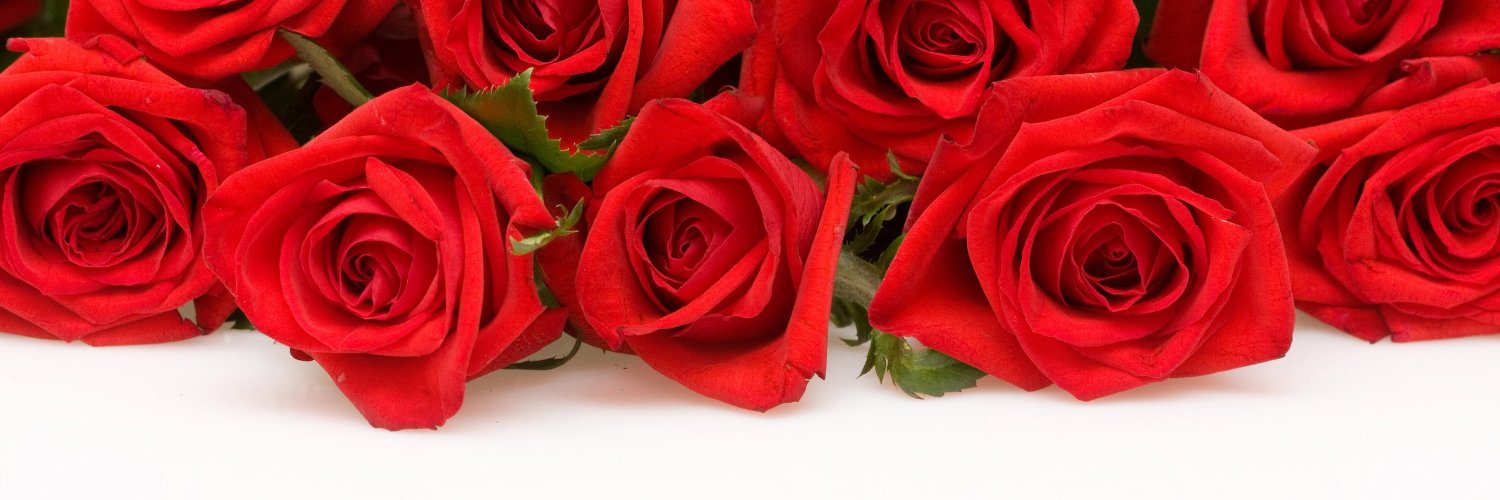 PaulaReRJ's profile banner image