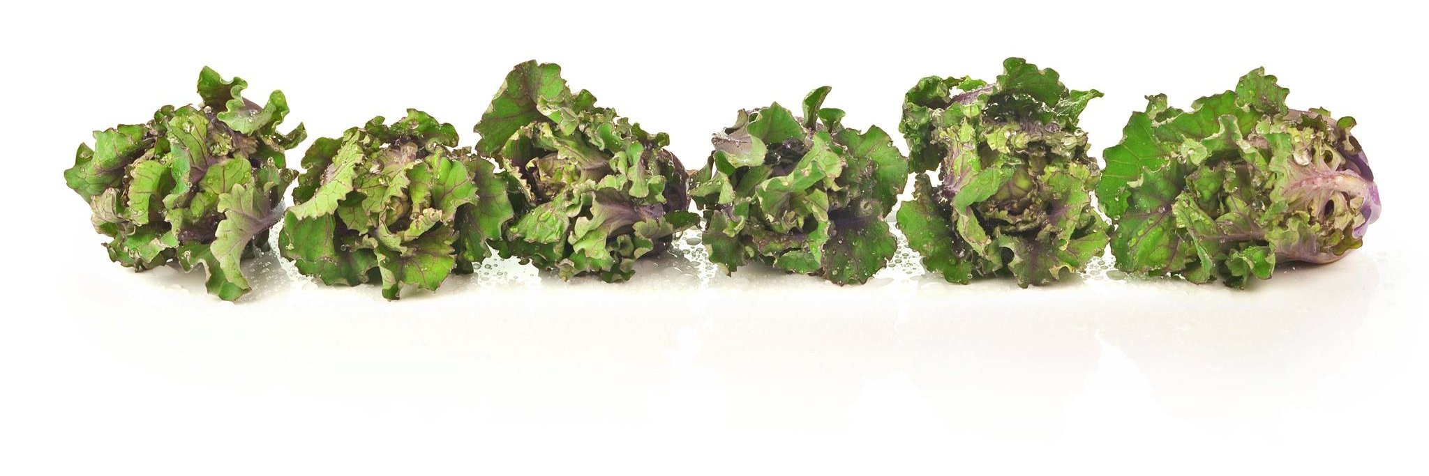 joonspoon.eth 🏳️‍⚧️🦄 banner