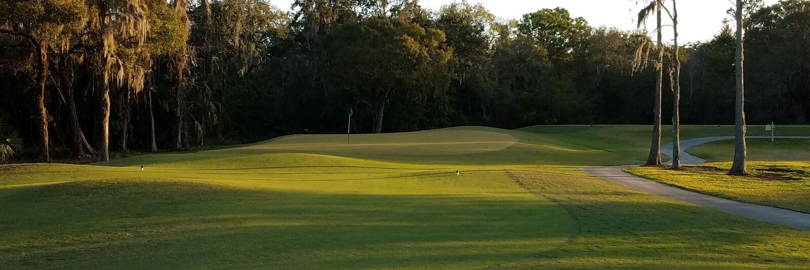 Golfcypress's profile banner image
