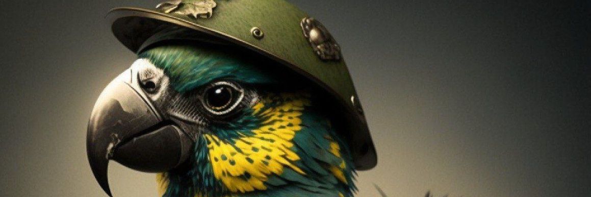 Flaportuga's profile banner image