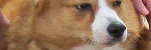 crstnamora's profile banner image