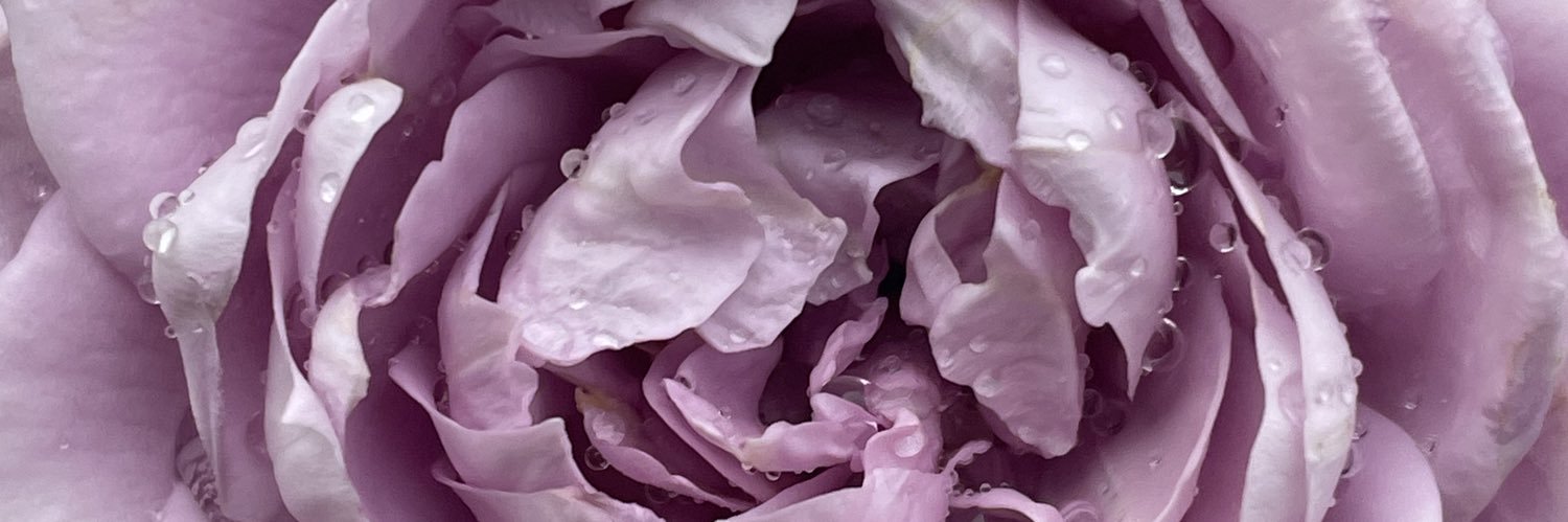 abby banner