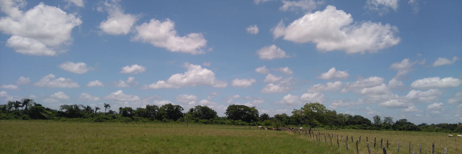 Moonriver_13's profile banner image