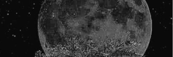 mcs_consultancy's profile banner image