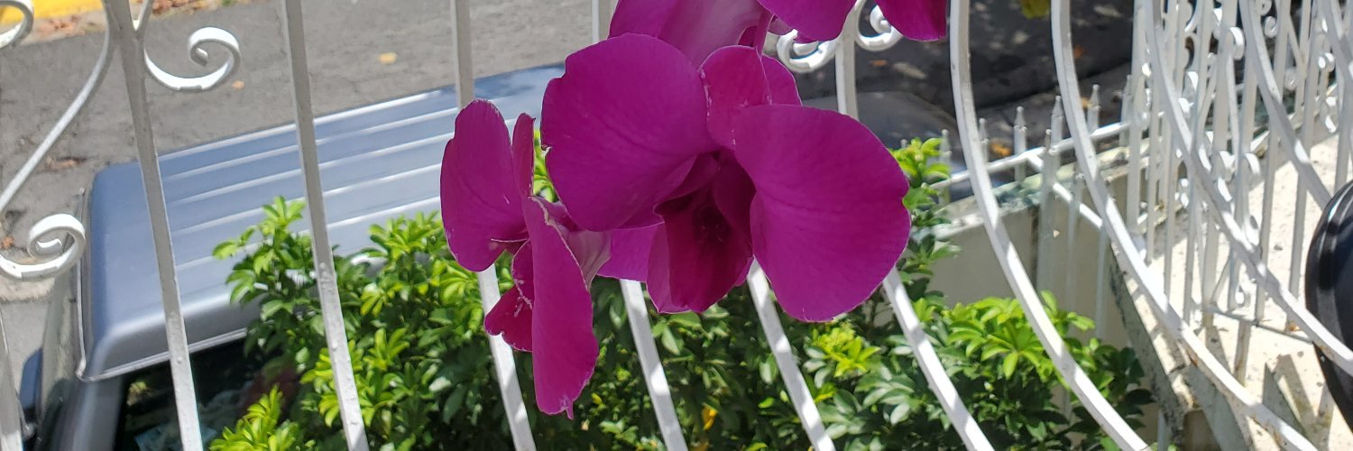 Marypr69's profile banner image