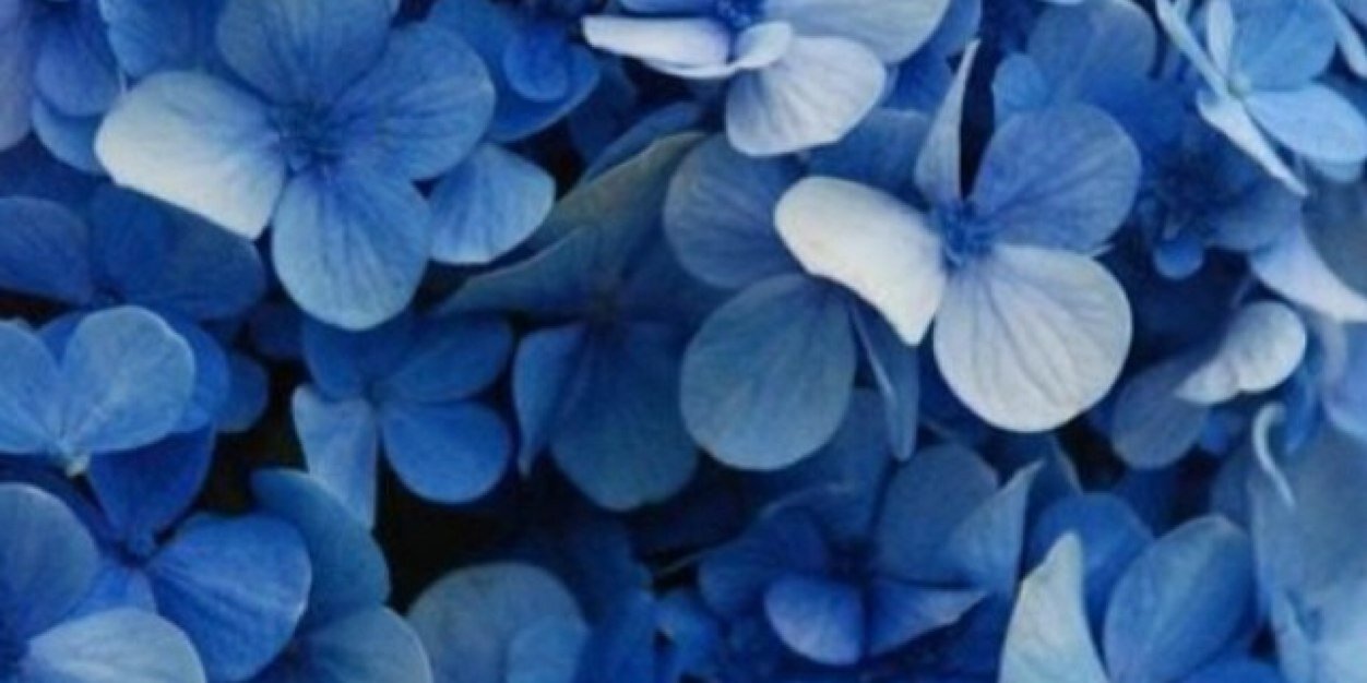 renaebeks87's profile banner image