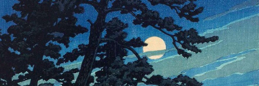 traviserard's profile banner image