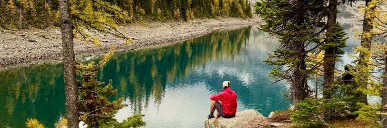 𝐓𝐨𝐧𝐲 banner