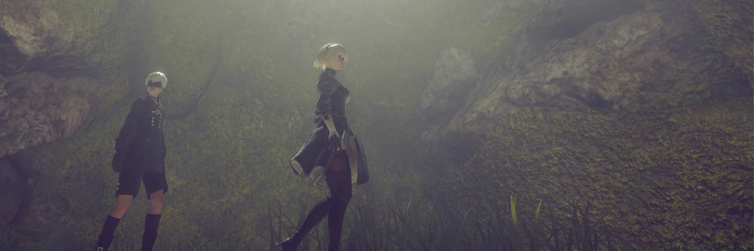 __tmy's profile banner image